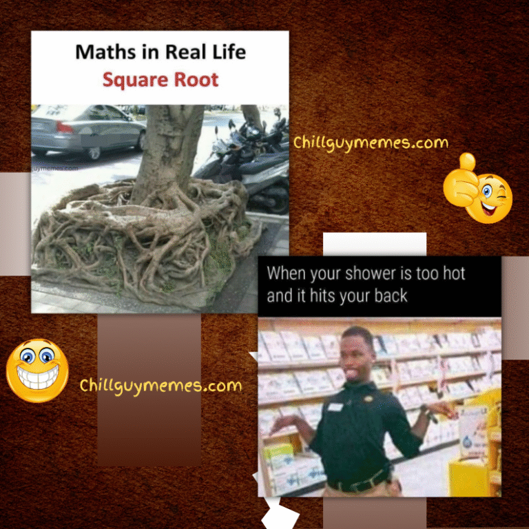 crazy funny memes