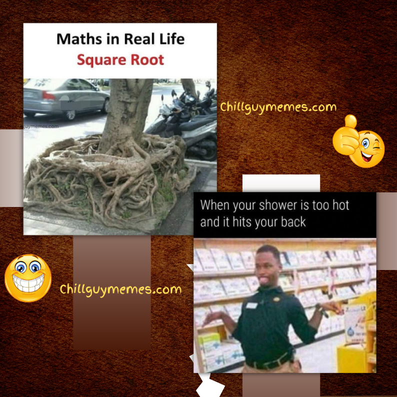 crazy funny memes
