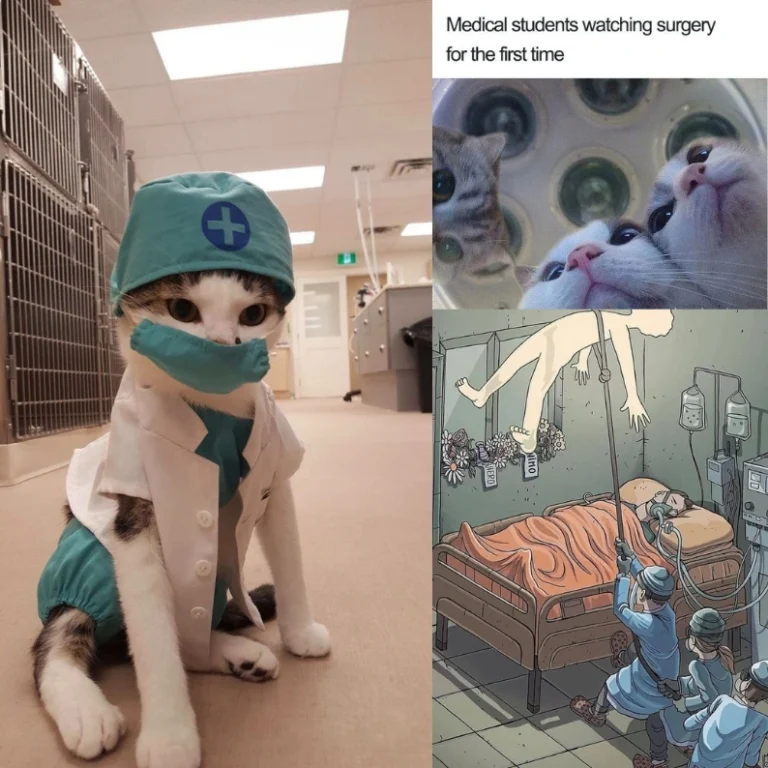 nursing memes