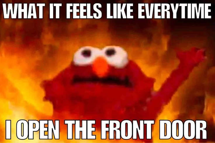 Summer Memes