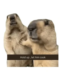 reaction memes