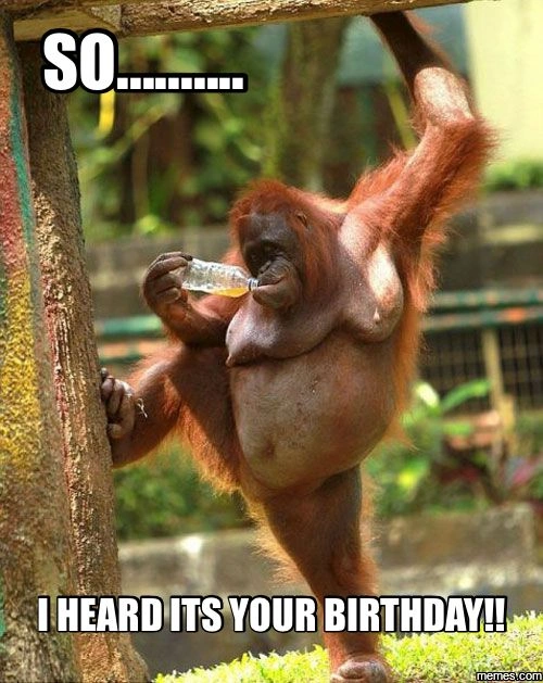 Happy Birthday Meme Funny