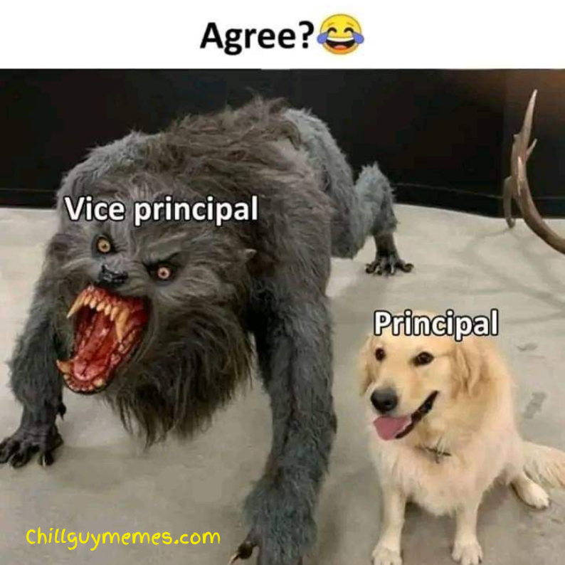 New Memes