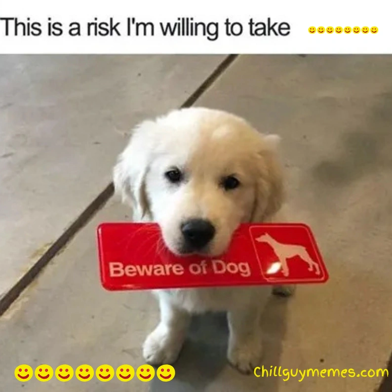 puppy memes