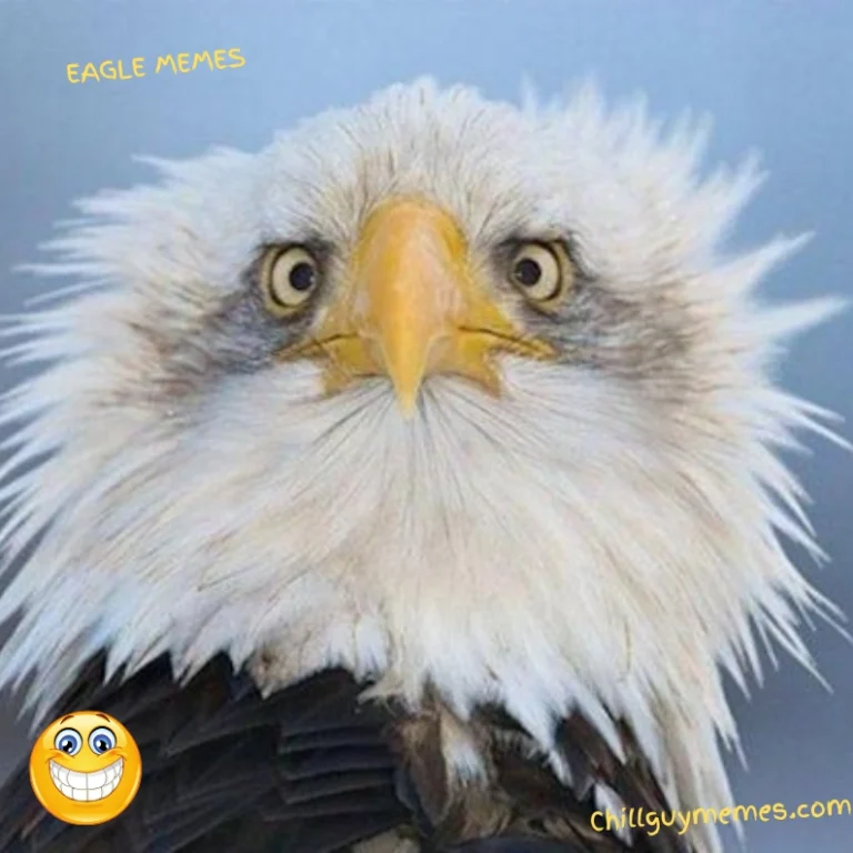 eagles memes