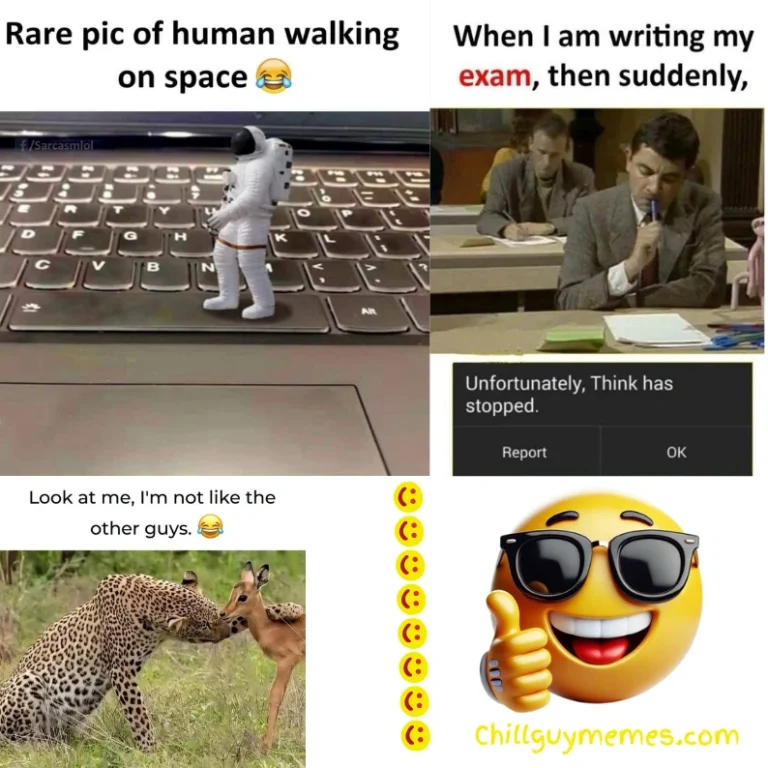 funny memes about life
