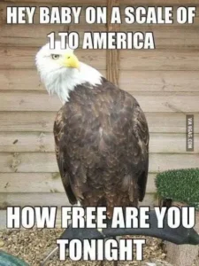 eagles memes