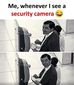 funny memes about life