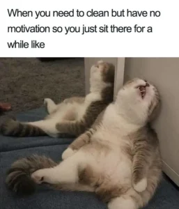 clean funny memes