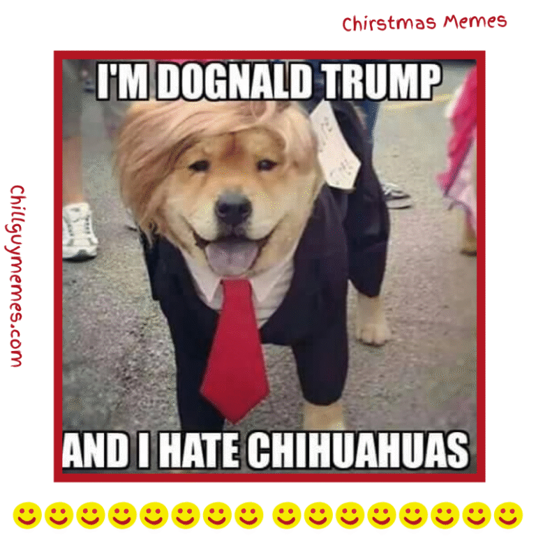 Trump Cat Memes