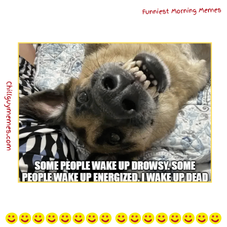 45+ Most Funniest Funny Good Morning Memes Collection