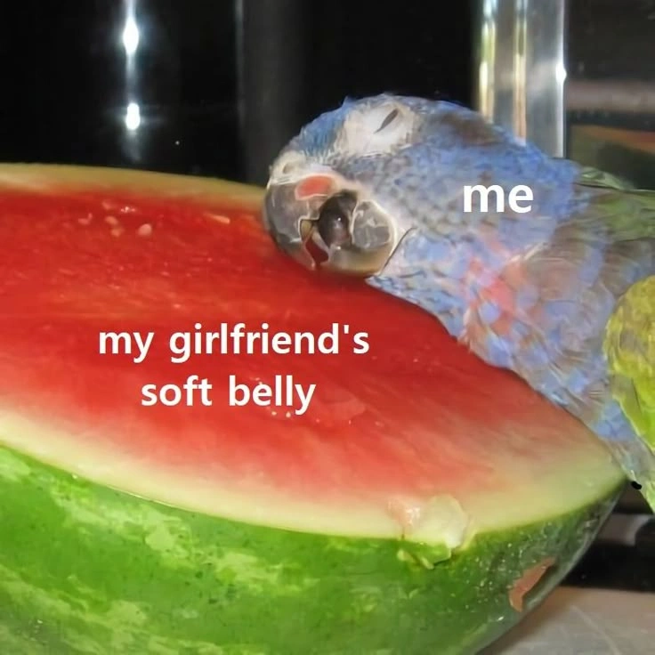 Memes