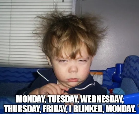 Monday Memes Positive
