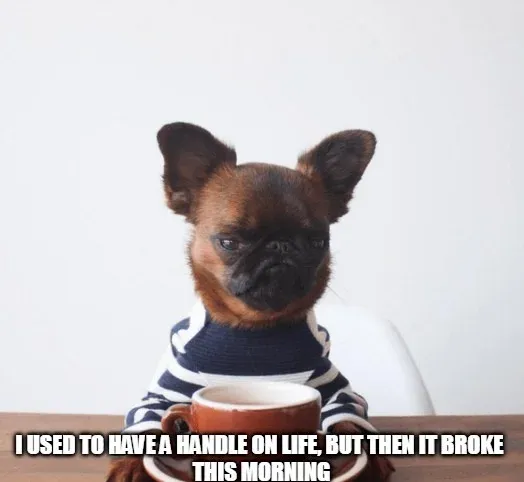 Most Funniest Funny Good Morning Memes