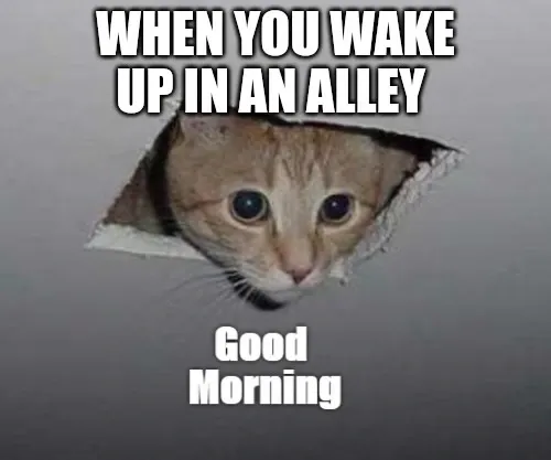 Most Funniest Funny Good Morning Memes