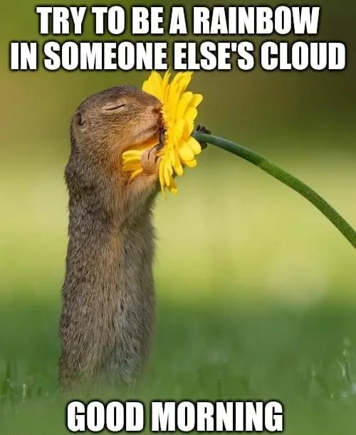 Most Funniest Funny Good Morning Memes