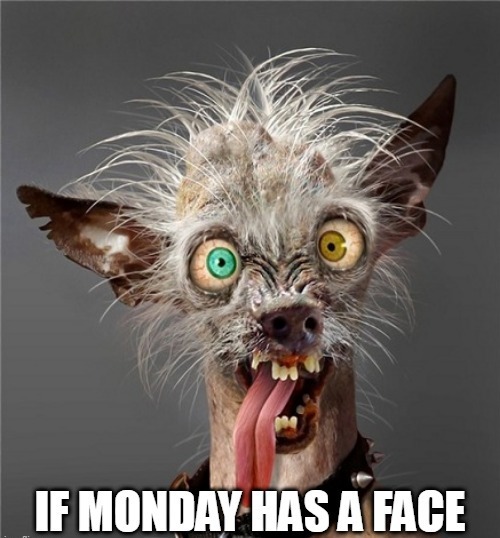 Monday Memes Positive
