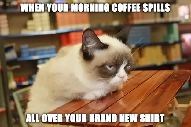 Most Funniest Funny Good Morning Memes
