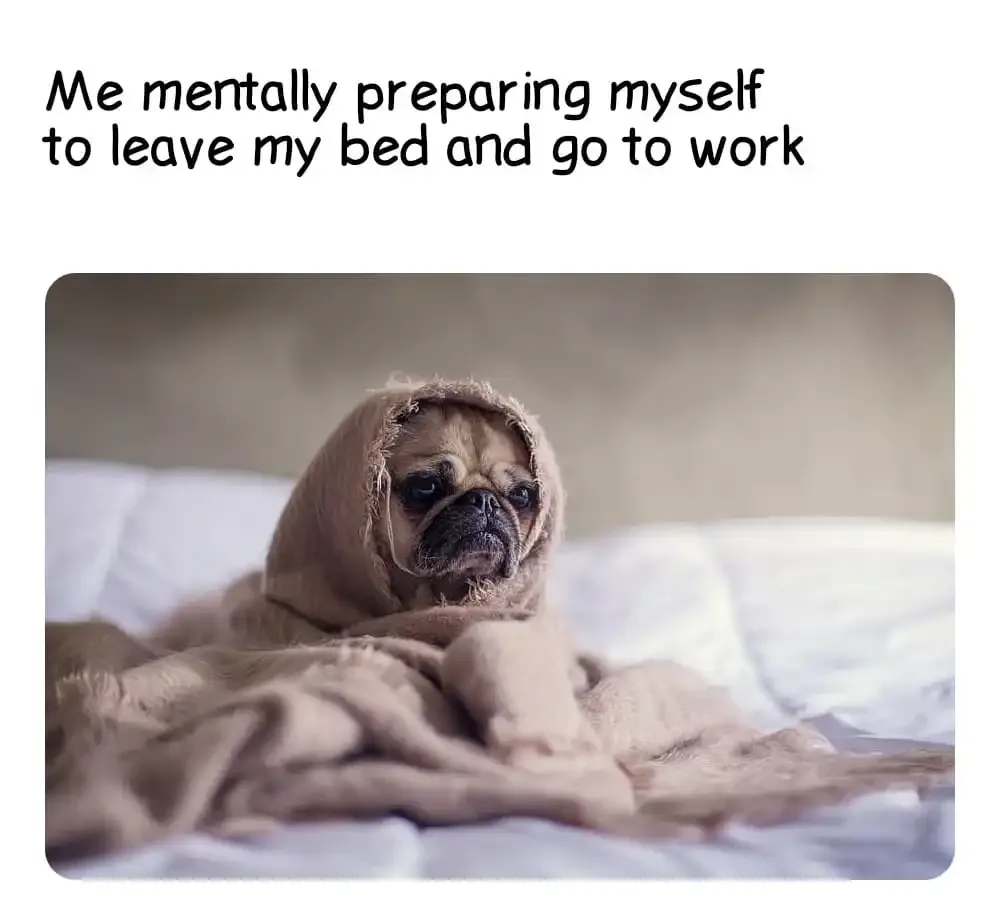 Most Funniest Funny Good Morning Memes