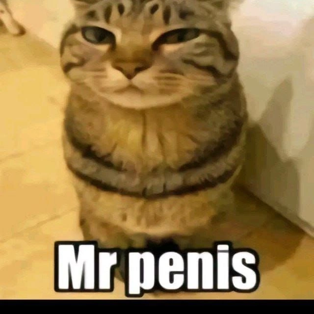 Memes