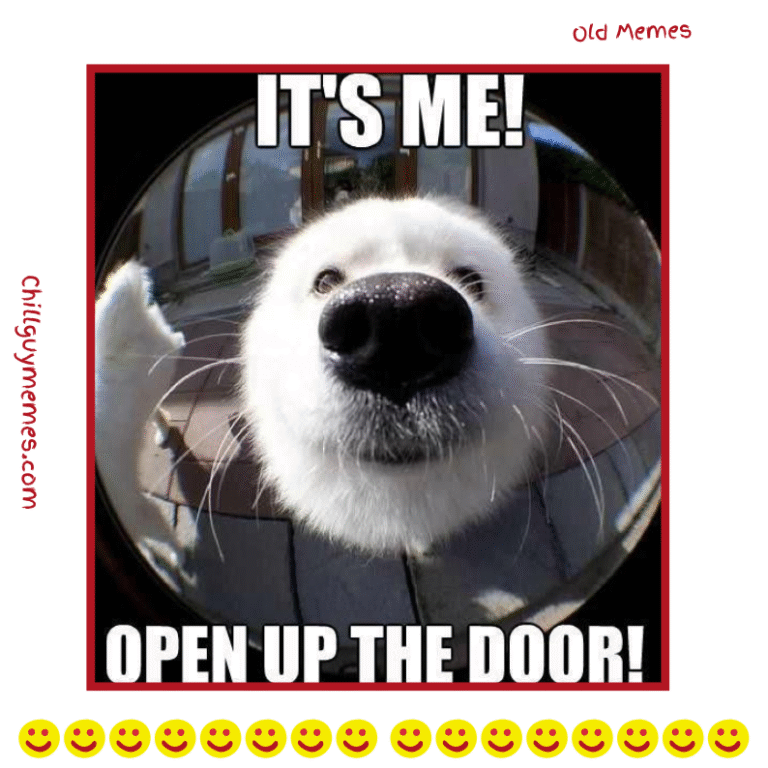 Old Meme Collection | Funniest & Classic Memes on Chill Guy Memes
