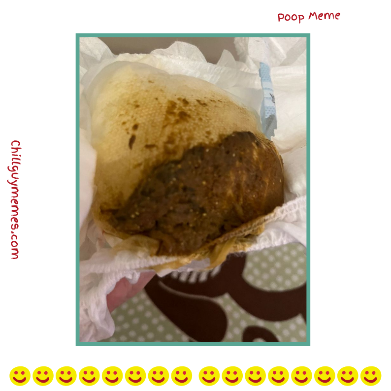 Poop Meme
