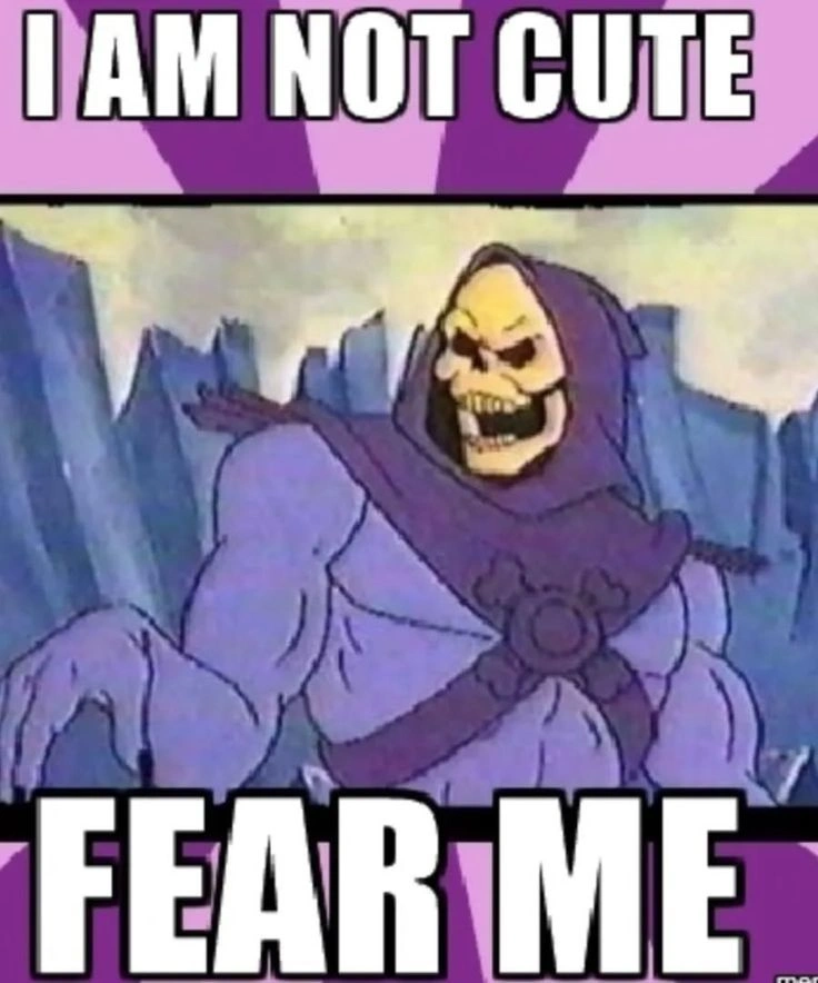 Skeletor Meme