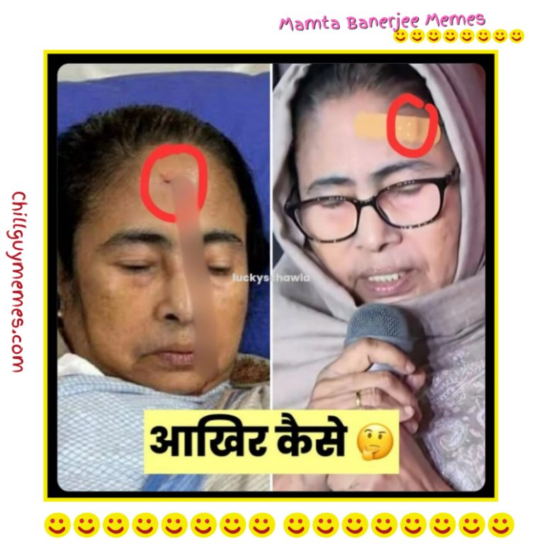 Mamta banerjee memes