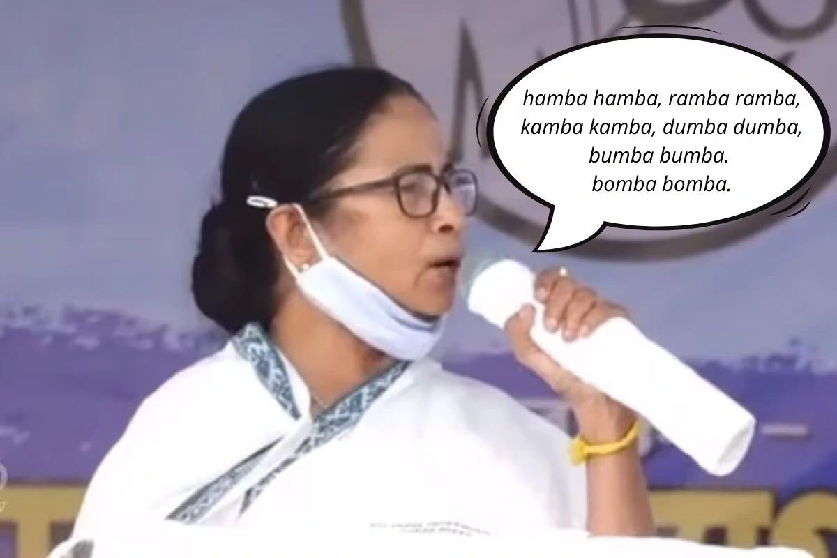 Mamta Banerjee Memes