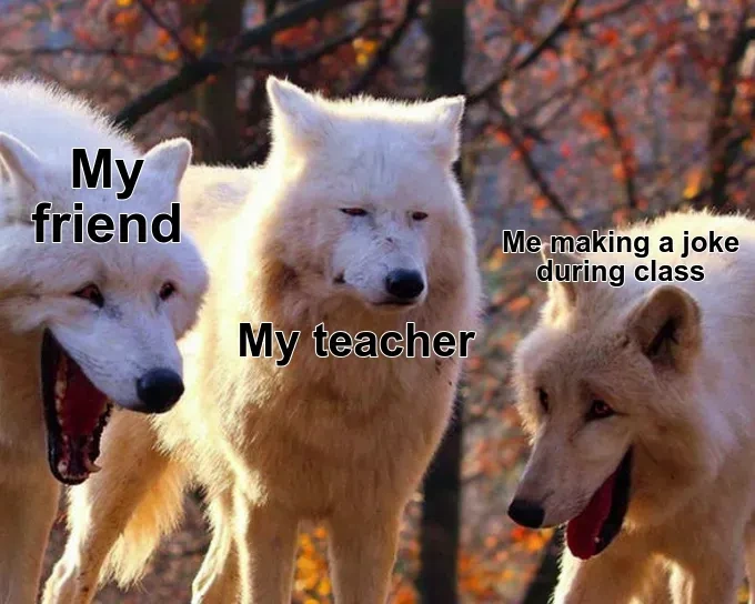 Wolf Memes
