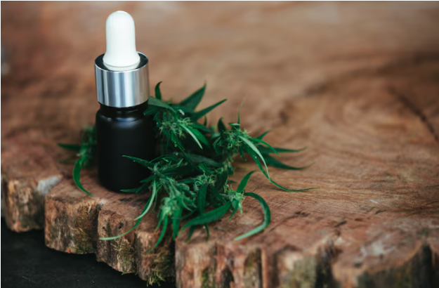 The Transformation of the Westchester Cannabis Store Experience